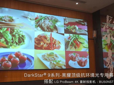 DarkStar® 9系列-黑耀顶级抗环境光专用幕 安装案例